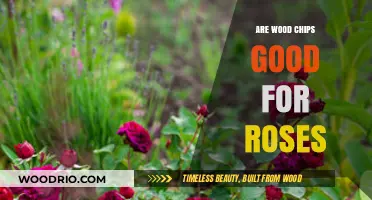 Nurturing Roses: The Benefits and Uses of Wood Chips in Your Garden