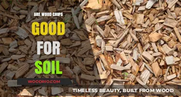 Nurturing Gardens: The Surprising Benefits of Wood Chips for Soil Health