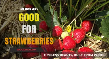 Boosting Strawberry Growth: The Benefits of Using Wood Chips in Your Garden