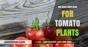 Boosting Tomato Growth: The Benefits of Using Wood Chips in Your Garden