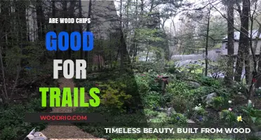 Exploring the Benefits and Drawbacks of Wood Chips on Trails