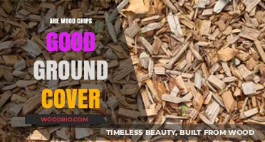 Exploring Wood Chips as an Effective Ground Cover Solution