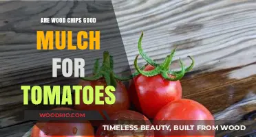 Exploring Wood Chips as Mulch for Tomato Plants: Benefits and Drawbacks