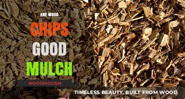 Exploring the Benefits and Drawbacks of Wood Chips as Garden Mulch
