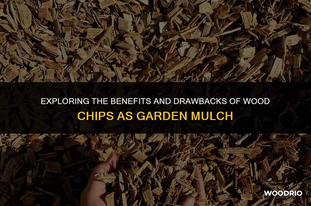 are wood chips good mulch