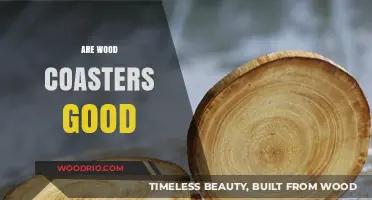 Exploring the Pros and Cons: Are Wood Coasters a Good Choice?