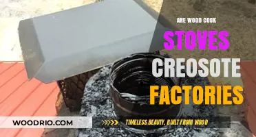 The Hidden Dangers of Wood Cook Stoves: Creosote Factories in Our Homes?