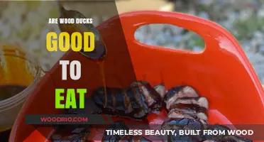 Exploring the Culinary Delight of Wood Ducks: A Gourmet's Guide