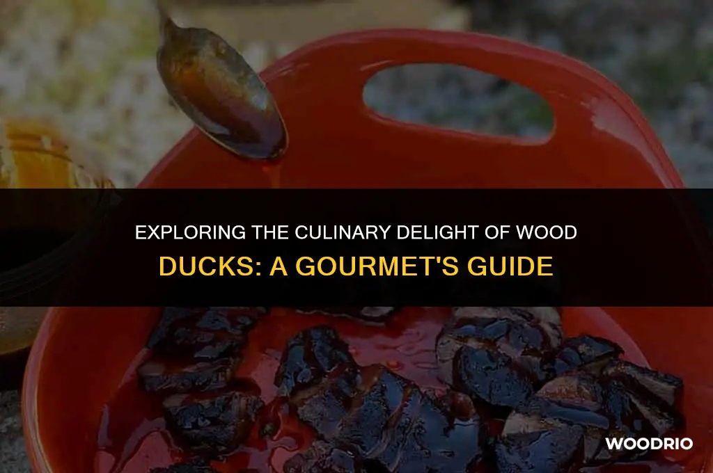 are wood ducks good to eat