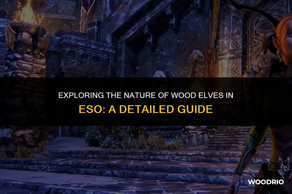 are wood elves good in eso