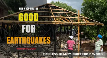 Resilience of Wooden Houses in Earthquake-Prone Areas: A Comprehensive Guide