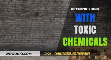 Unveiling the Truth: Are Wood Pallets Treated with Toxic Chemicals?