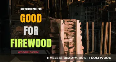 Exploring the Pros and Cons: Wood Pallets as Firewood