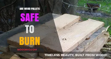 Eco-Friendly or Hazardous? The Truth About Burning Wood Pallets