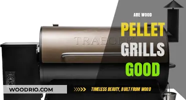 Exploring the Pros and Cons of Wood Pellet Grills: A Comprehensive Guide