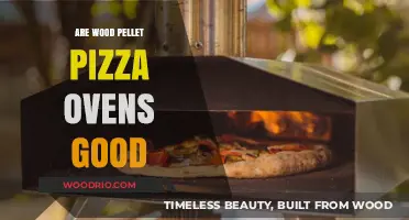 Fiery Debate: The Pros and Cons of Wood Pellet Pizza Ovens
