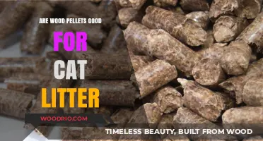 Exploring Wood Pellets as an Eco-Friendly Cat Litter Alternative
