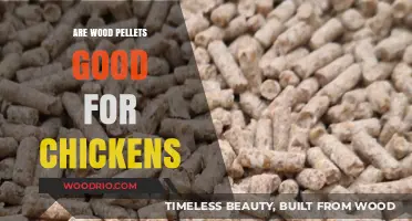 Wood Pellets for Chickens: A Good Choice or Not?