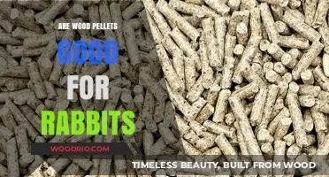 Natural Nibbles: Are Wood Pellets a Healthy Treat for Rabbits?
