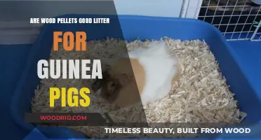 Wood Pellets as Guinea Pig Litter: Pros, Cons, and Alternatives
