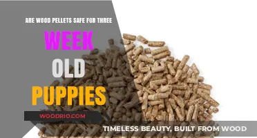 Wood Pellets and Puppies: Safety Concerns for Three-Week-Old Canines