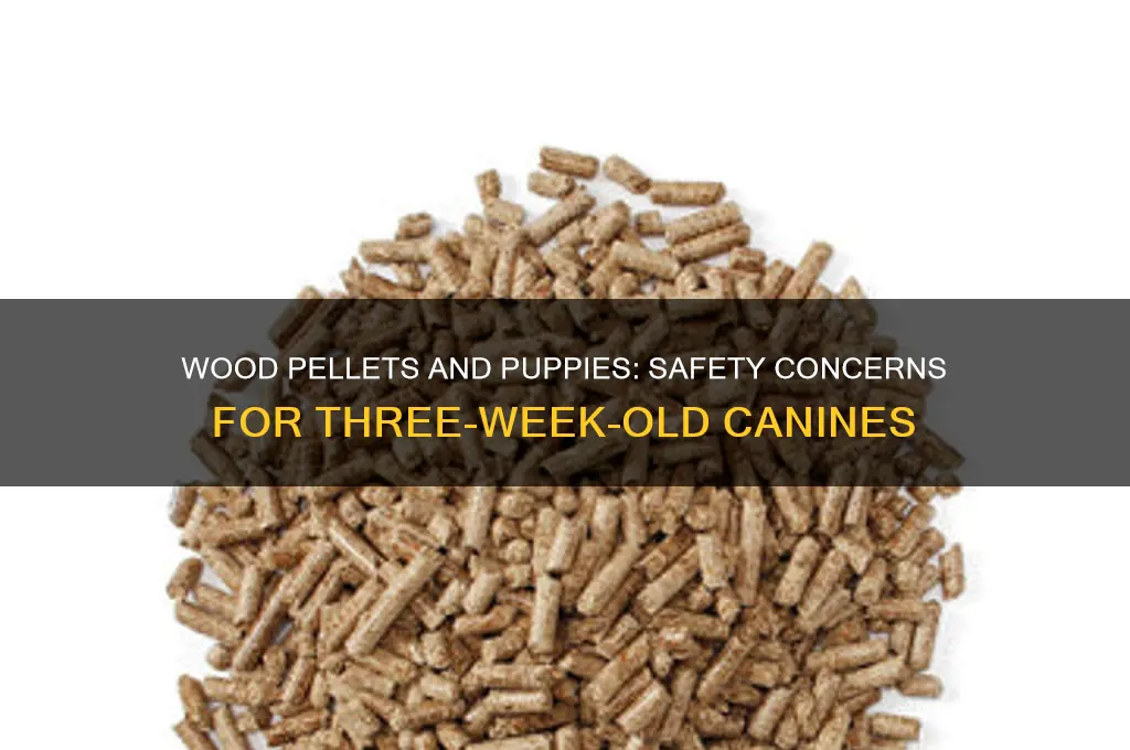 are wood pellets safe for three week old puppies