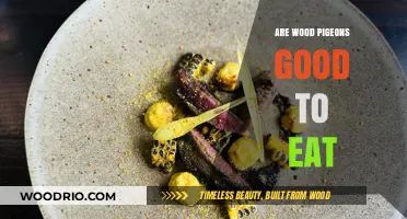 Exploring the Culinary Delight of Wood Pigeons: A Gourmet's Guide