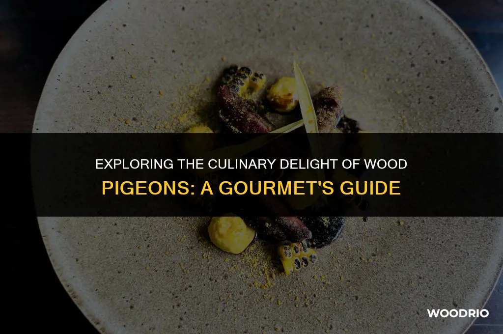 are wood pigeons good to eat