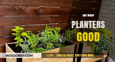 Exploring the Benefits and Drawbacks of Wood Planters for Your Garden