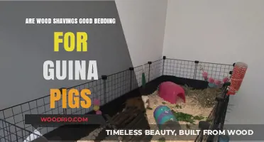 Cozy Comfort: Wood Shavings as Guinea Pig Bedding - Pros and Cons
