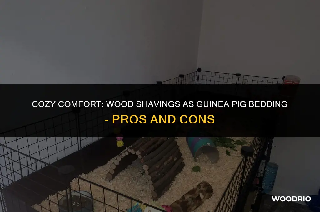 are wood shavings good bedding for guina pigs