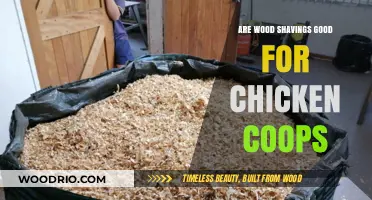The Benefits of Wood Shavings in Chicken Coops: A Complete Guide