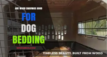 Comfort and Safety: Wood Shavings as Dog Bedding - Pros and Cons