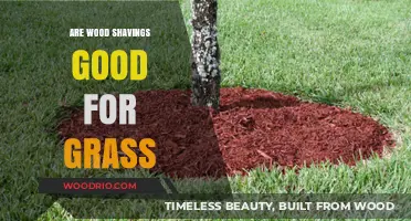 Eco-Friendly Lawn Care: The Benefits of Wood Shavings for Grass