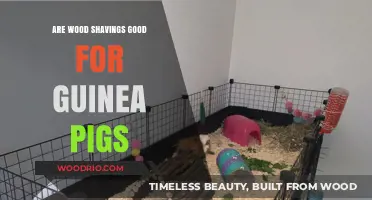 Wood Shavings for Guinea Pigs: Safe or Unsafe?