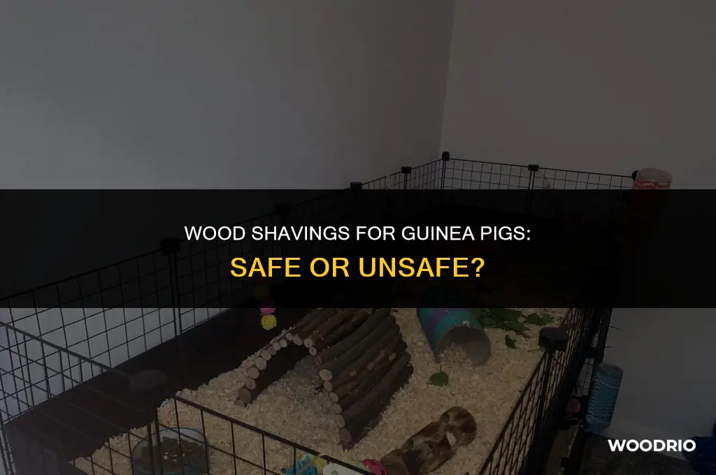 are wood shavings good for guinea pigs