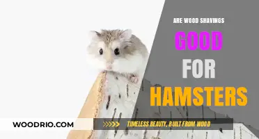 Wood Shavings for Hamsters: A Safe and Comfortable Bedding Option