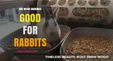Wood Shavings for Rabbits: Safe or Not?