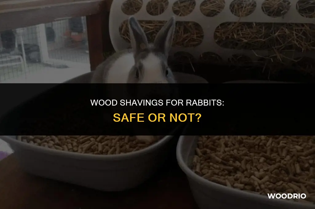 are wood shavings good for rabbits
