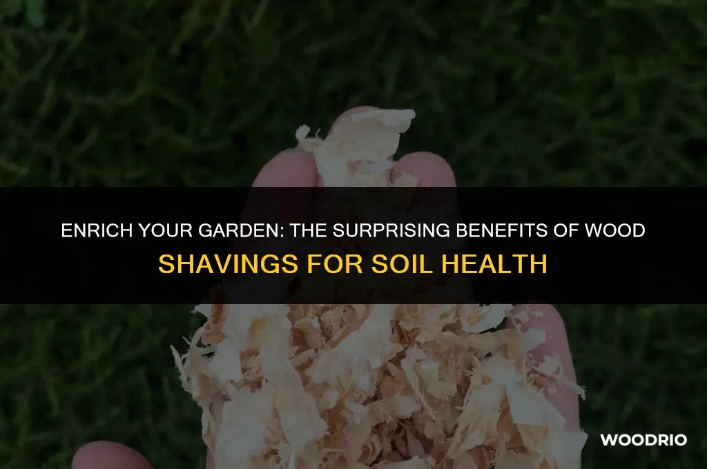are wood shavings good for soil