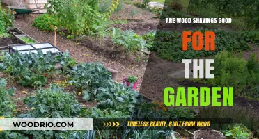 Gardening Insights: The Benefits and Uses of Wood Shavings