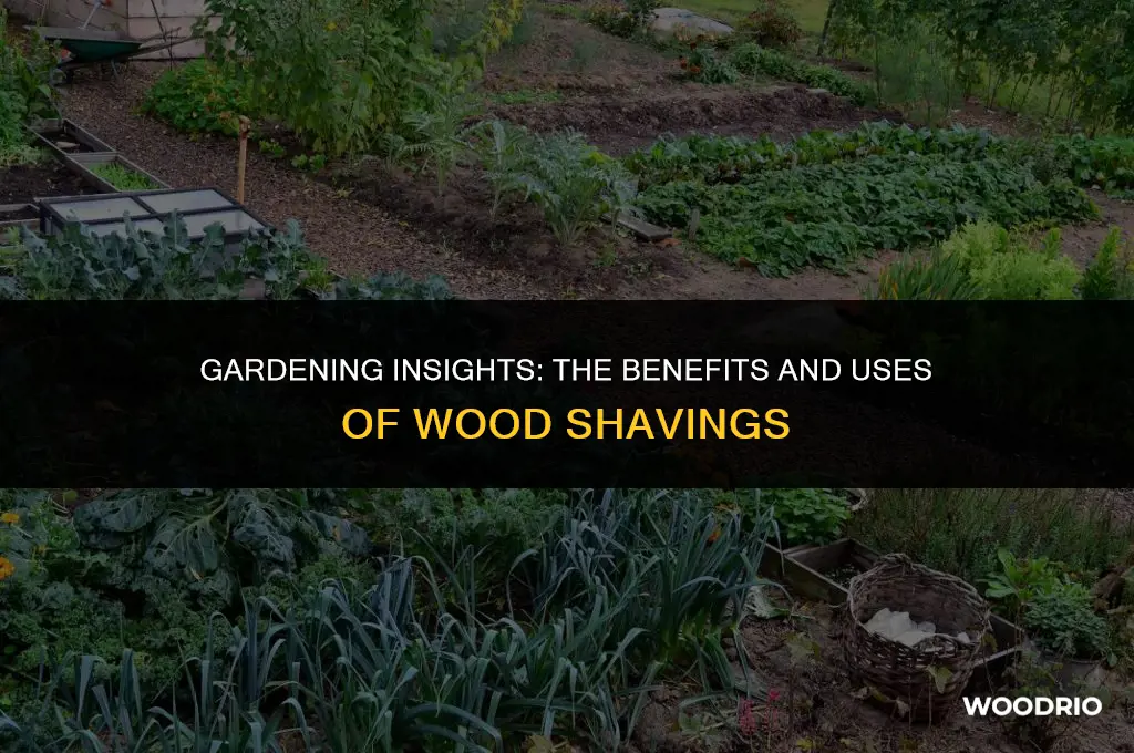 are wood shavings good for the garden