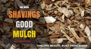 Exploring Wood Shavings as Mulch: Benefits and Drawbacks for Your Garden