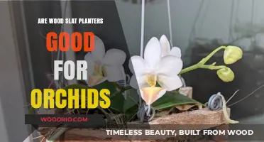 Thriving Orchids: The Benefits of Wood Slat Planters Explained