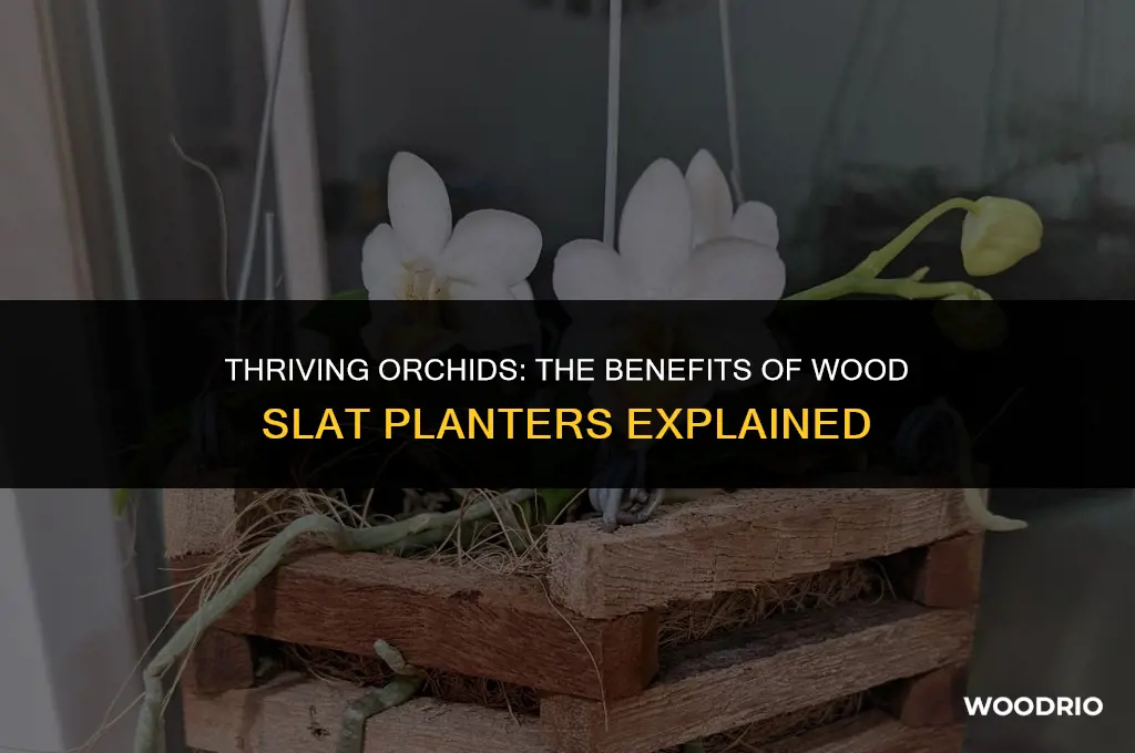 are wood slat planters good for orchids