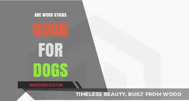 Chew on This: The Surprising Benefits of Wood Sticks for Dogs