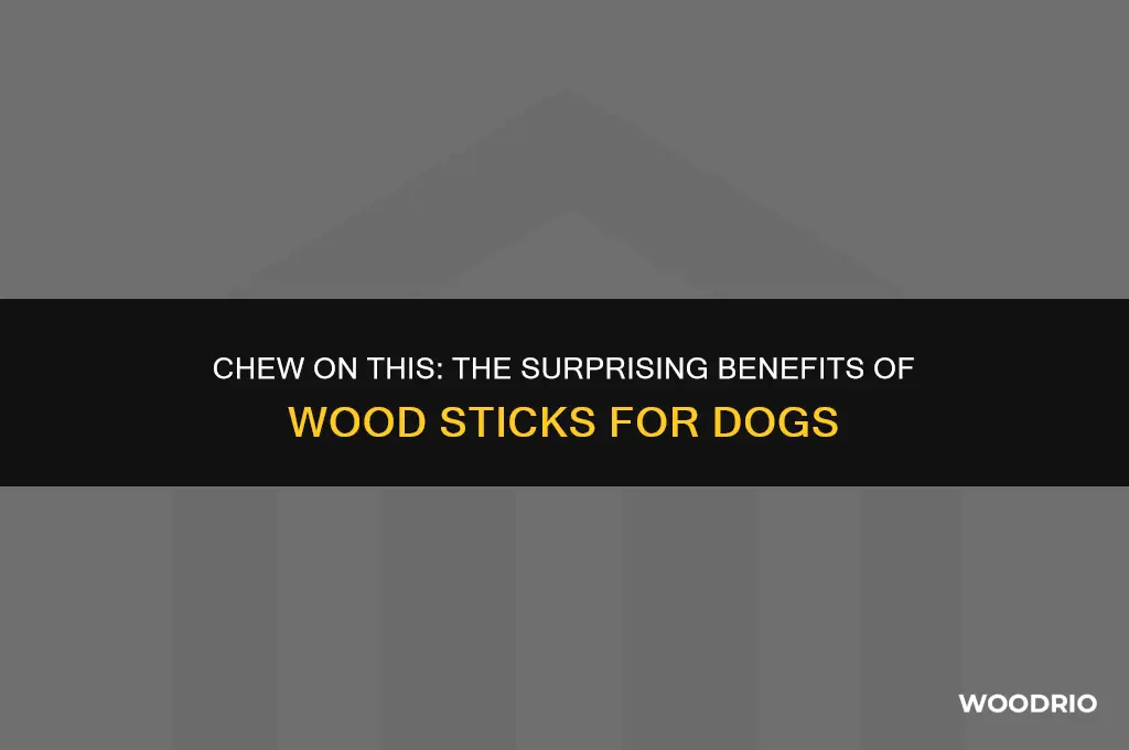 are wood sticks good for dogs
