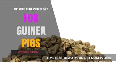 Exploring the Safety of Wood Stove Pellets for Guinea Pigs