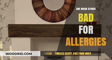 Exploring the Impact of Wood Stoves on Allergy Sufferers