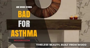 Exploring the Impact of Wood Stoves on Asthma Symptoms